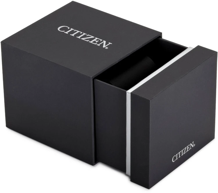 Rankinis laikrodis CITIZEN EO1210-83L (moterims)