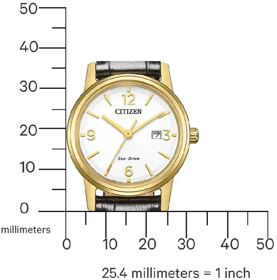 Rankinis laikrodis CITIZEN EW2722-01A (moterims)
