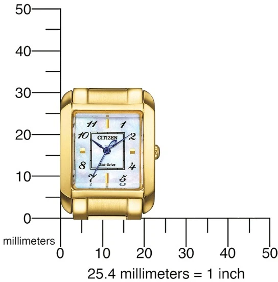 Rankinis laikrodis CITIZEN EW5602-81D (moterims)