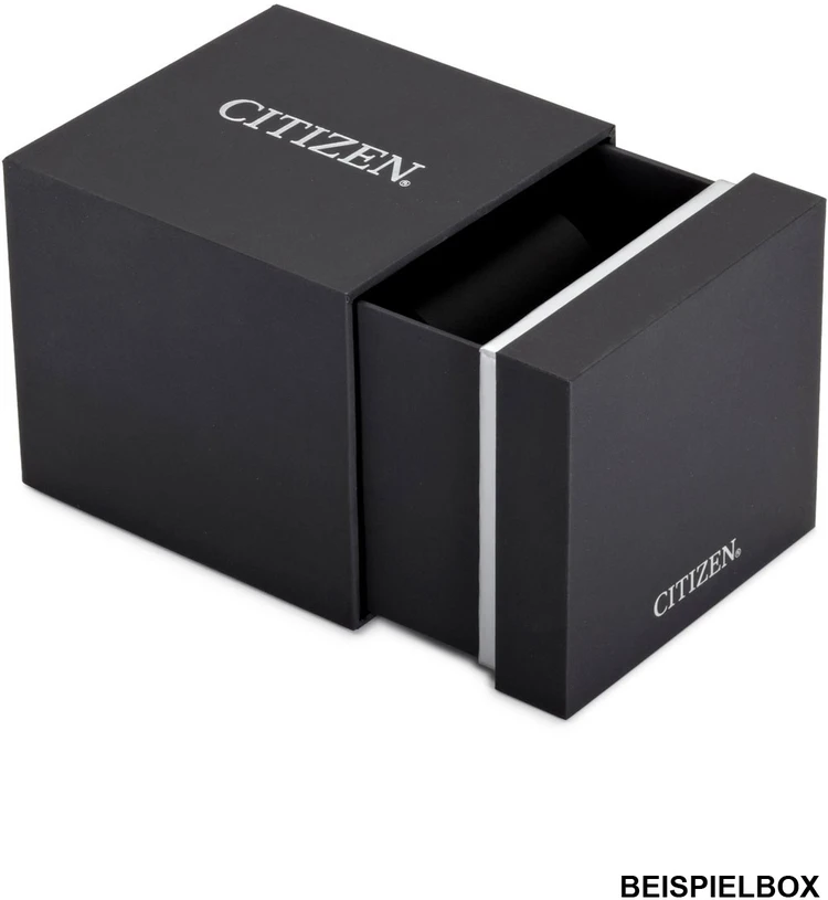 Rankinis laikrodis CITIZEN FE6151-82X (moterims)