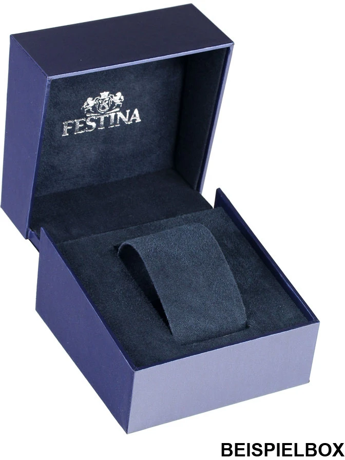 Rankinis laikrodis FESTINA F16744_3 (vyrams)