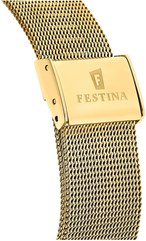 Rankinis laikrodis FESTINA F20569_1