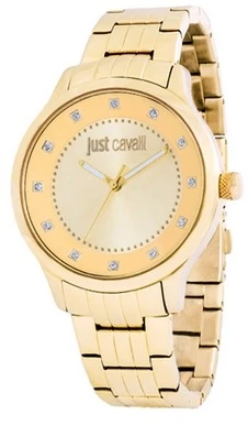 Rankinis laikrodis JUST CAVALLI TIME R7253127530 (moterims)