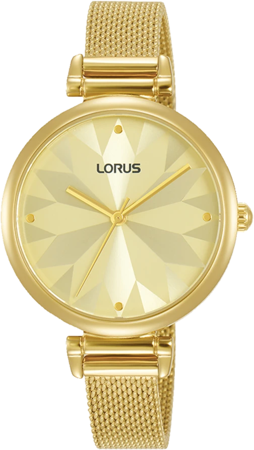 Rankinis laikrodis LORUS RG208TX5