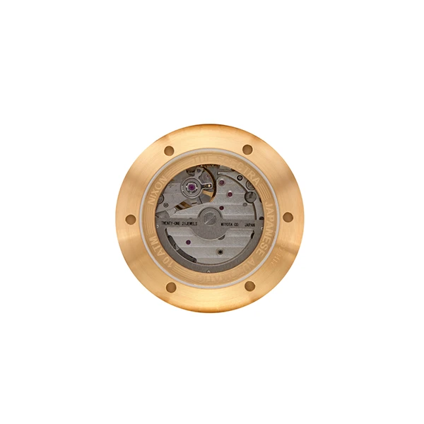 Rankinis laikrodis NIXON A1323-010