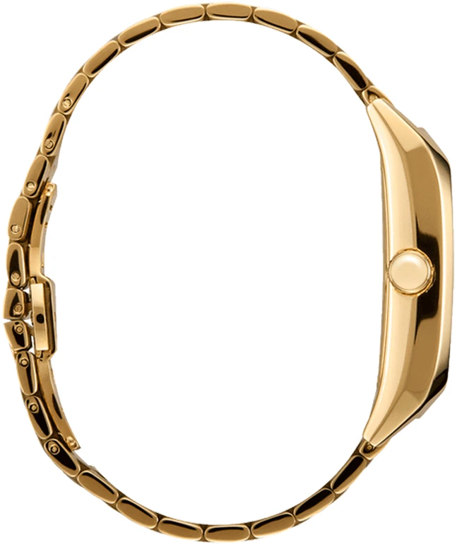 Rankinis laikrodis NIXON A1441-5324