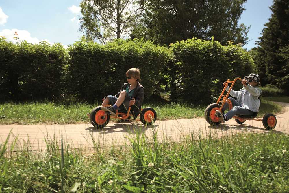 Beleduc triratukas Chopper (64130)
