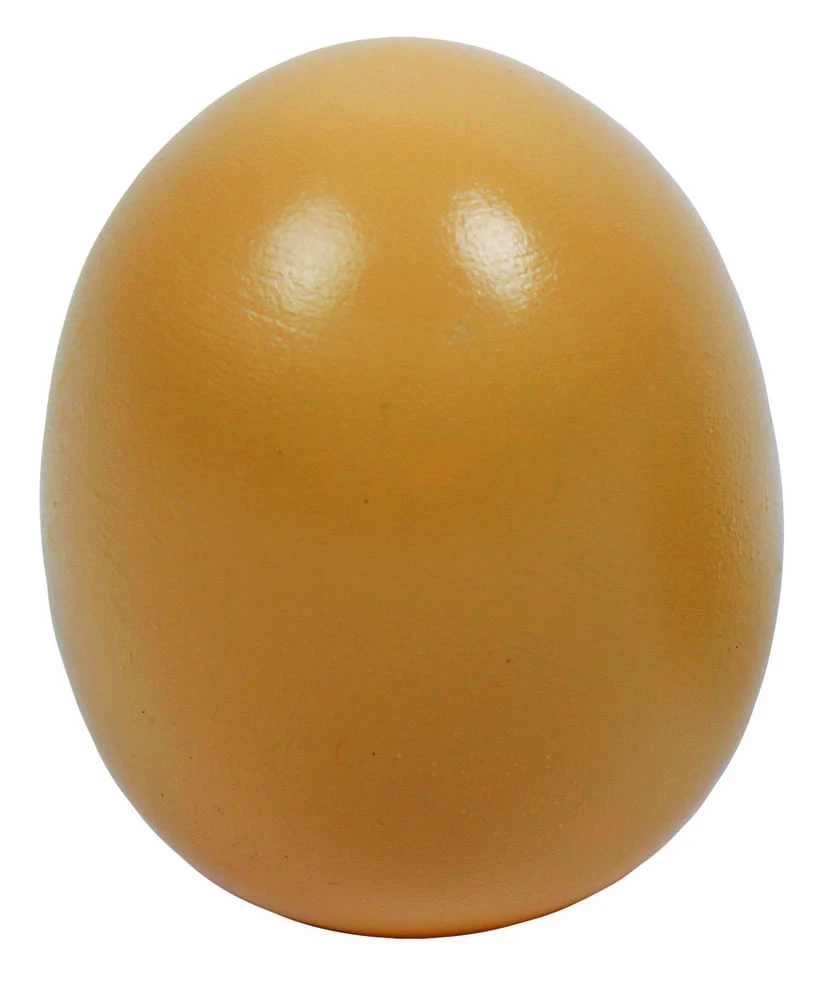 Beleduc lavinamoji priemonė - žaidimas Dygliuotas (22431)