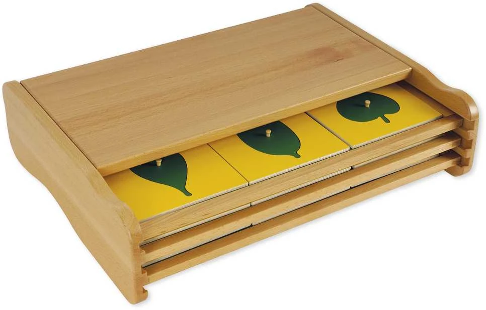Dėlionė TimeTEX Botanikos spintelė "Montessori Premium" (TT94770)