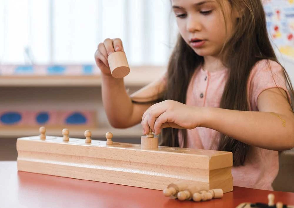Dėlionė TimeTEX Cilindrų Kaladė 1 "Montessori Premium" (TT94245)