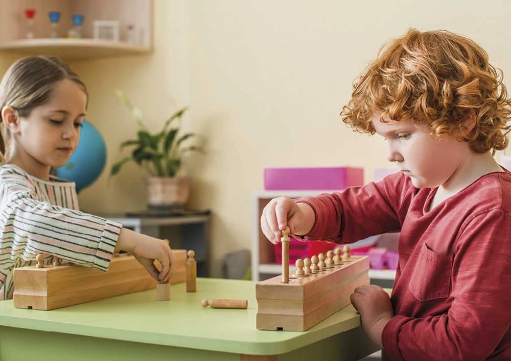 Dėlionė TimeTEX Cilindrų Kaladė 2 "Montessori Premium" (TT94246)