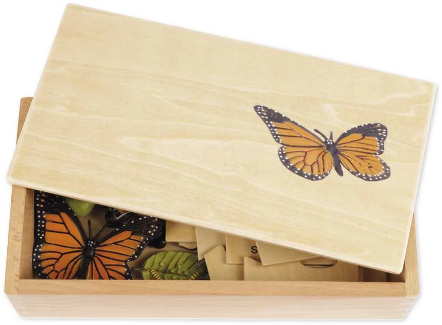 Dėlionė TimeTEX Drugelio Gyvenimo ciklas, medinėje dėžutėje, Vokiška versija "Montessori Premium" (TT94757)