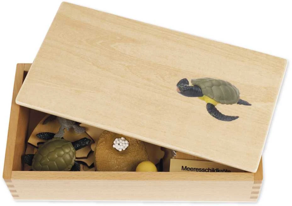 Dėlionė TimeTEX Jūrų Vėžlio Gyvenimo ciklas, medinėje dėžutėje, Vokiška versija "Montessori Premium" (TT94751)