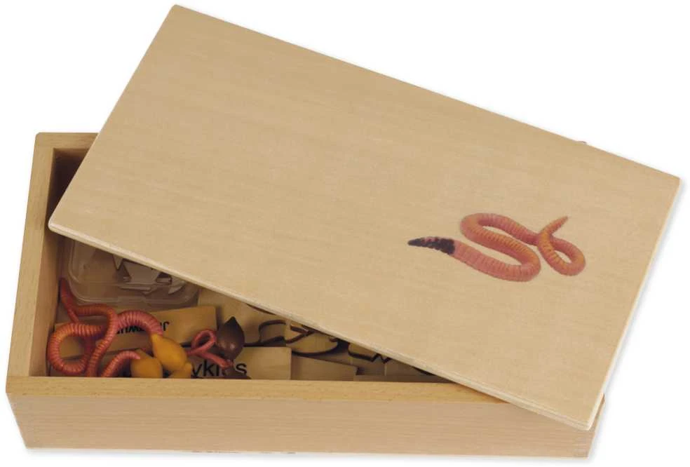 Dėlionė TimeTEX Slieko Gyvenimo ciklas, medinėje dėžutėje, Vokiška versija "Montessori Premium" (TT94761)