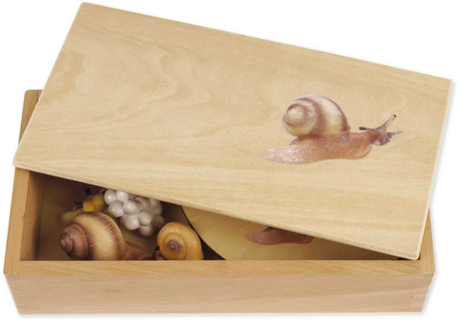 Dėlionė TimeTEX Sraigės Gyvenimo ciklas, medinėje dėžutėje, Vokiška versija "Montessori Premium" (TT94759)