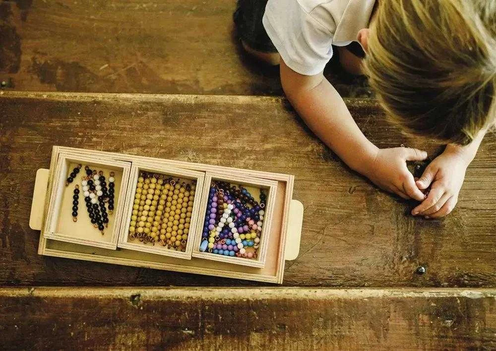 Dėlionė TimeTEX Sudėties Gyvatėlės žaidimas "Montessori Premium" (TT94441)