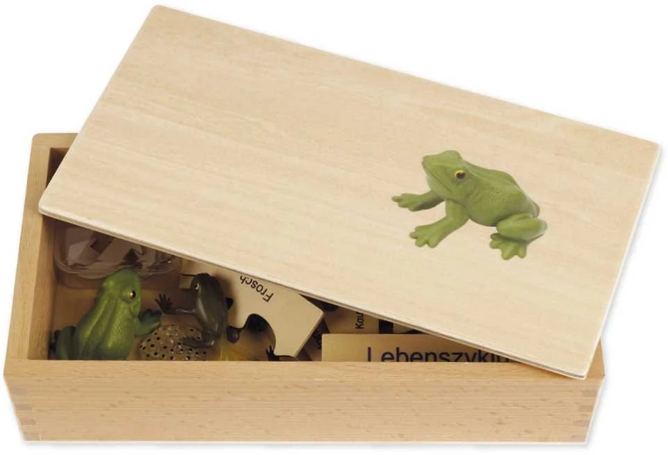 Dėlionė TimeTEX Varlės Gyvenimo ciklas, medinėje dėžutėje, Vokiška versija "Montessori Premium" (TT94752)