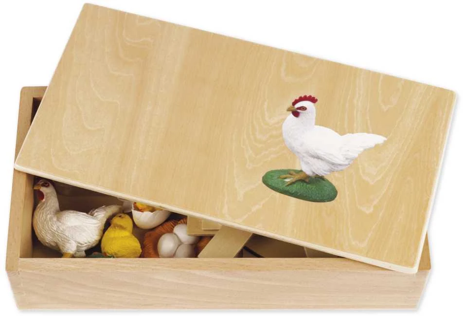Dėlionė TimeTEX Vištos Gyvenimo ciklas, medinėje dėžutėje, Vokiška versija "Montessori Premium" (TT94753)