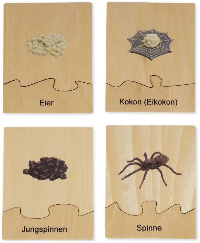 Dėlionė TimeTEX Voro Gyvenimo ciklas, medinėje dėžutėje, Vokiška versija "Montessori Premium" (TT94758)