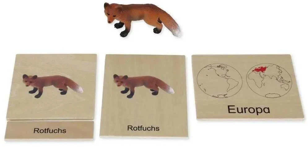 Dėlionė TimeTEX Žemynų gyvūnų dėžutė (Vokiška versija) "Montessori Premium" (TT94712)