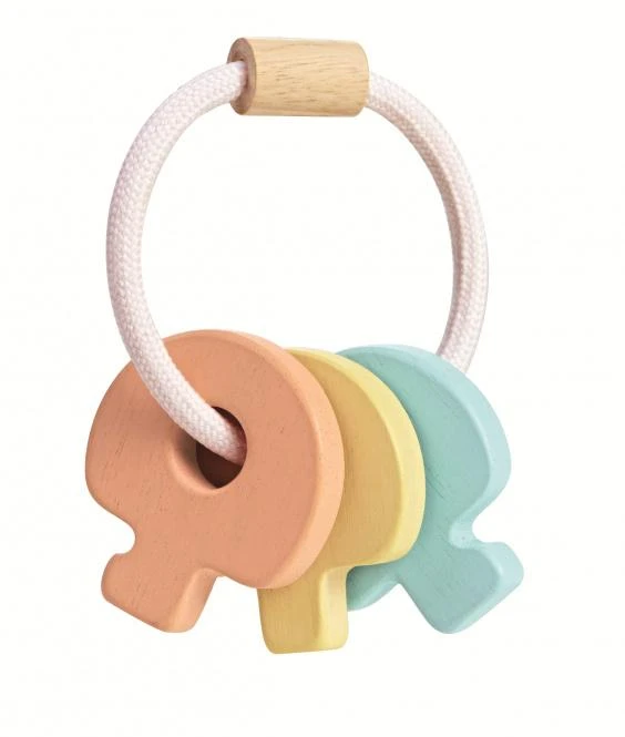 PlanToys lavinamasis žaislas - barškutis "Pasteliniai rakteliai" (PT5251)