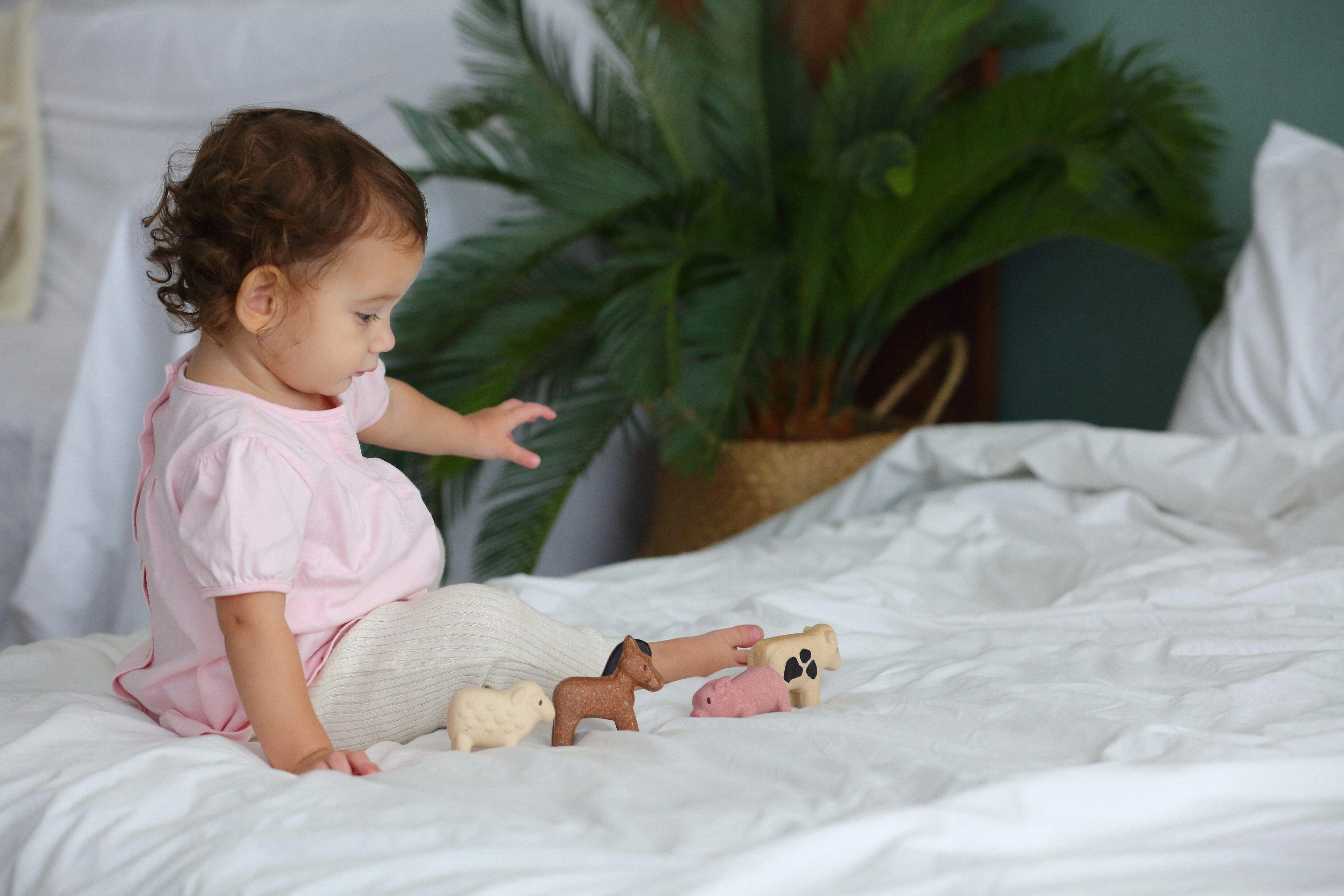 Dėlionė PlanToys rinkinys Naminiai gyvūnai (PT6127)