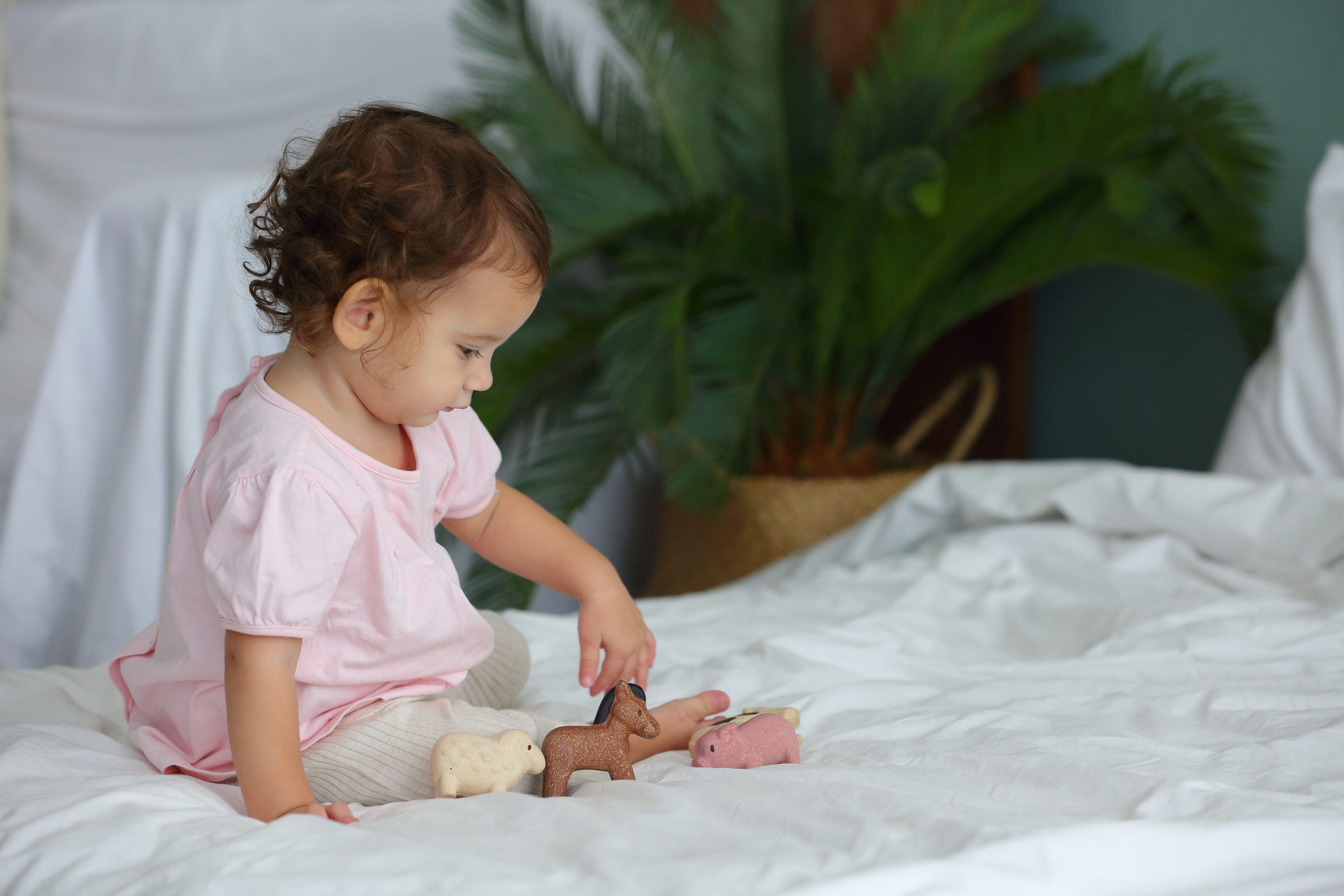 Dėlionė PlanToys rinkinys Naminiai gyvūnai (PT6127)