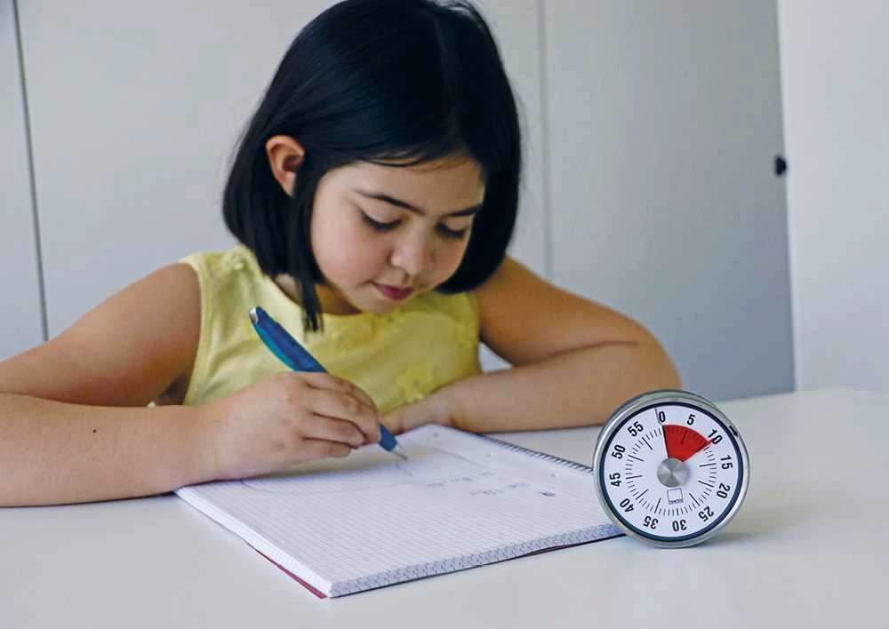 TimeTEX Automatinis, kompaktiškas laikmatis su magnetu (TT6196x)