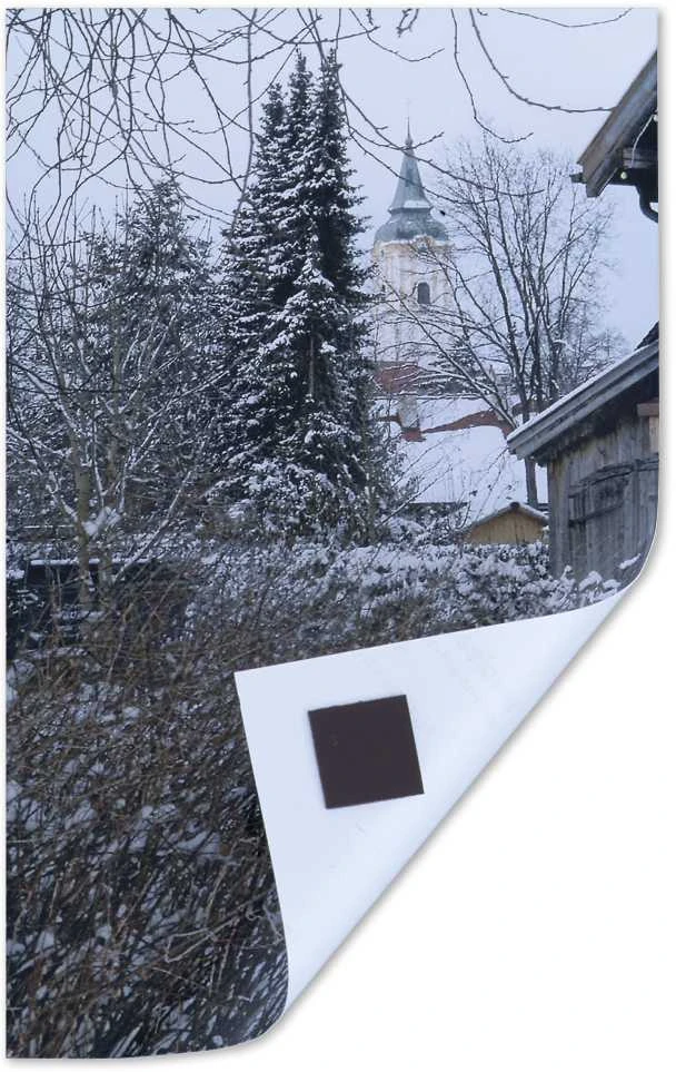 TimeTEX Lipni magnetinė juostelė su laikikliu, 19 mm, 5 m (TT93781)