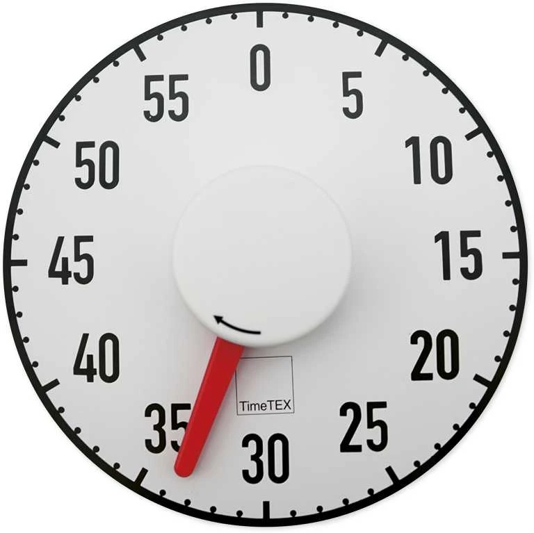 TimeTEX Magnetinis, automatinis laikmatis, skersmuo - 190 mm (TT61976)