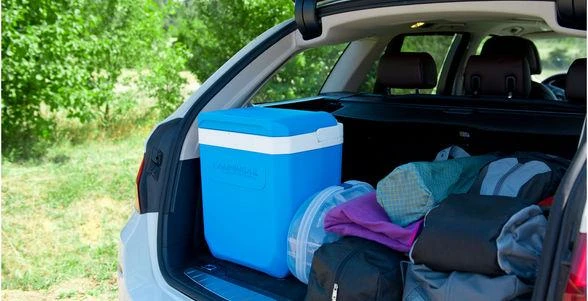 Šaltdėžė Campingaz ICETIME PLUS 30 l