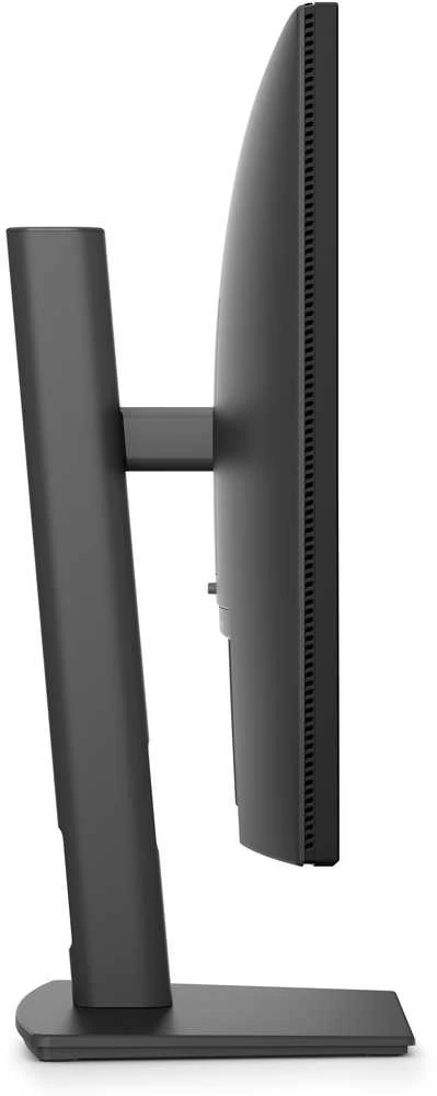 Dell Pro P 24 16:10 Monitorius- P2426