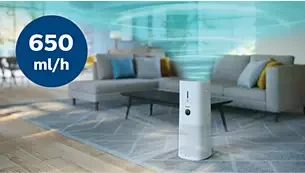 Oro valytuvas ir drėkintuvas Philips AC3737/10 aprašymas - Prekės nuotrauka