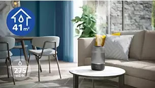 Oro drėkintuvas Philips 1000 serija, iki 41 kv. m, Pilkas aprašymas - Prekės nuotrauka