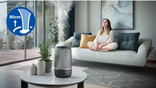 Oro drėkintuvas Philips 1000 serija, iki 41 kv. m, Pilkas aprašymas - Prekės nuotrauka