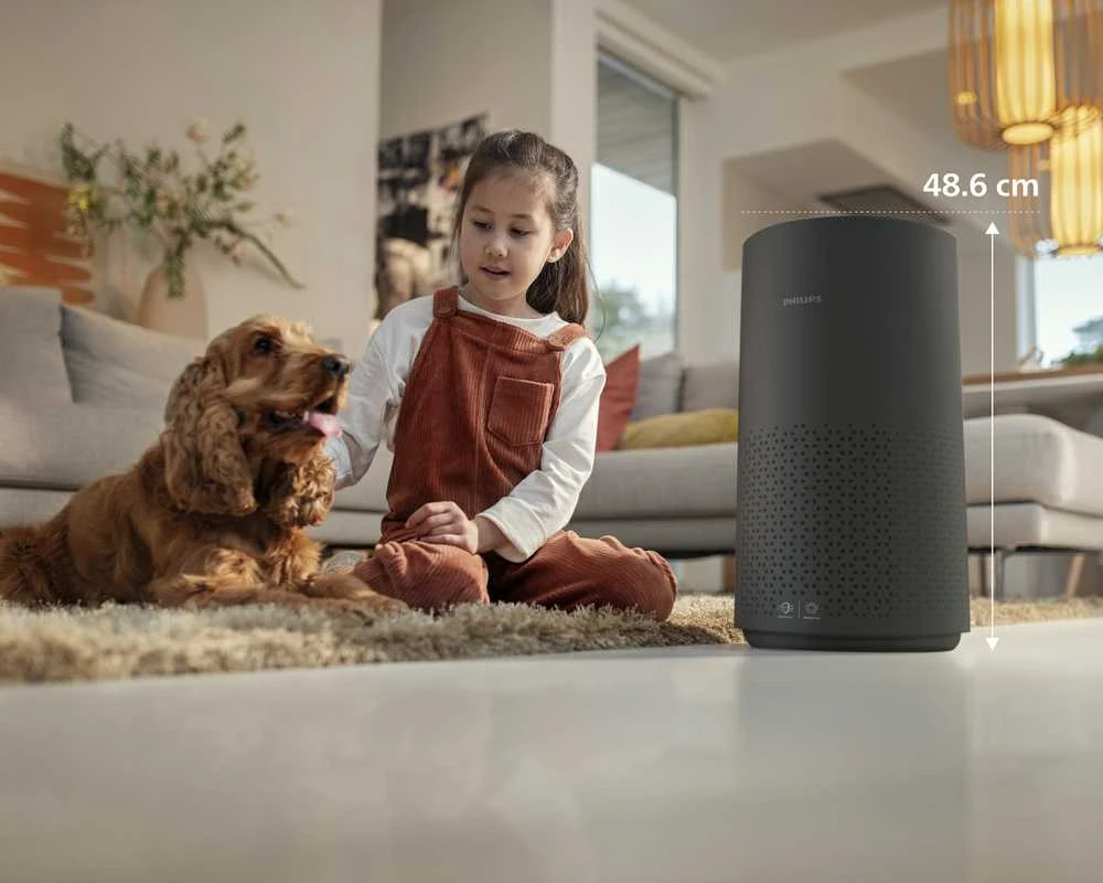 Philips Oro valytuvas AC1715/10