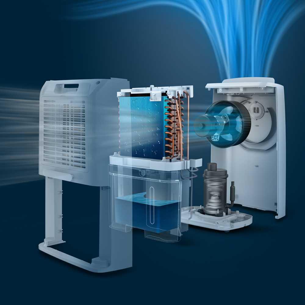 Sausintuvas Philips Dehumidifier DE3306/11