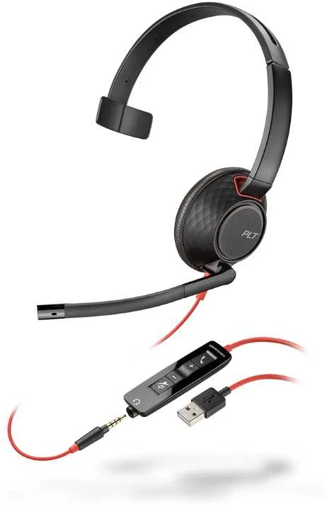 Ausinės Plantronics POLY BLACKWIRE 5220 C5220 USB-C WW