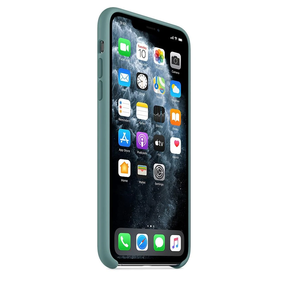 Apple iPhone 11 Pro Max Silikoninis dėklas - Cactus
