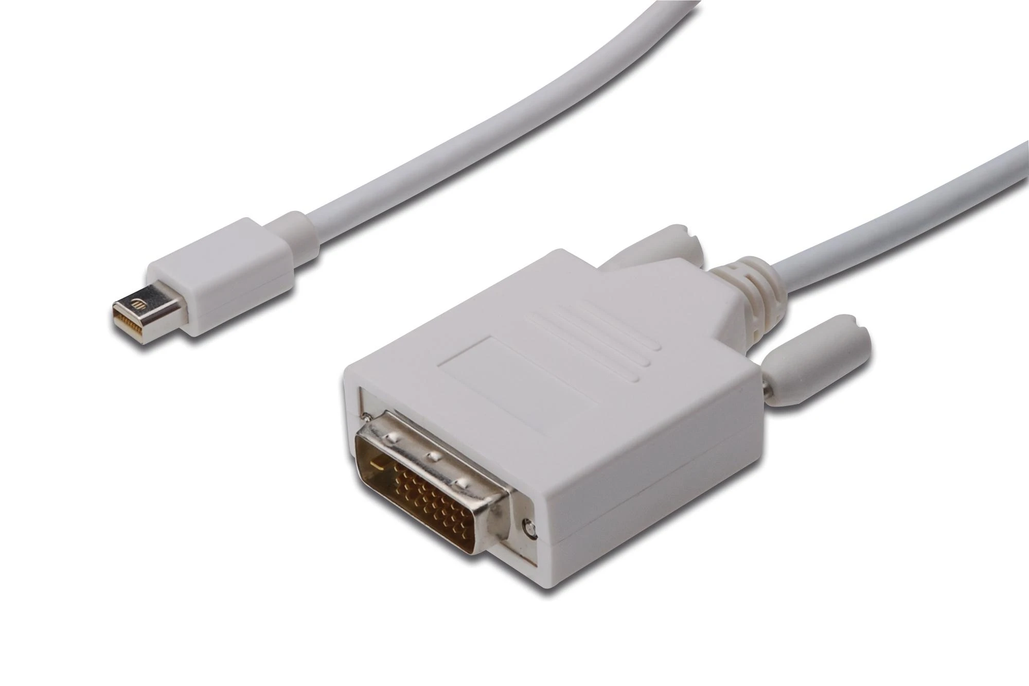 Assmann Electronic ASSMANN DisplayPort adapterio kabelis mini DP - DVI(24+1) M/M 2.0m DP 1.1a suderinamas su CE wh