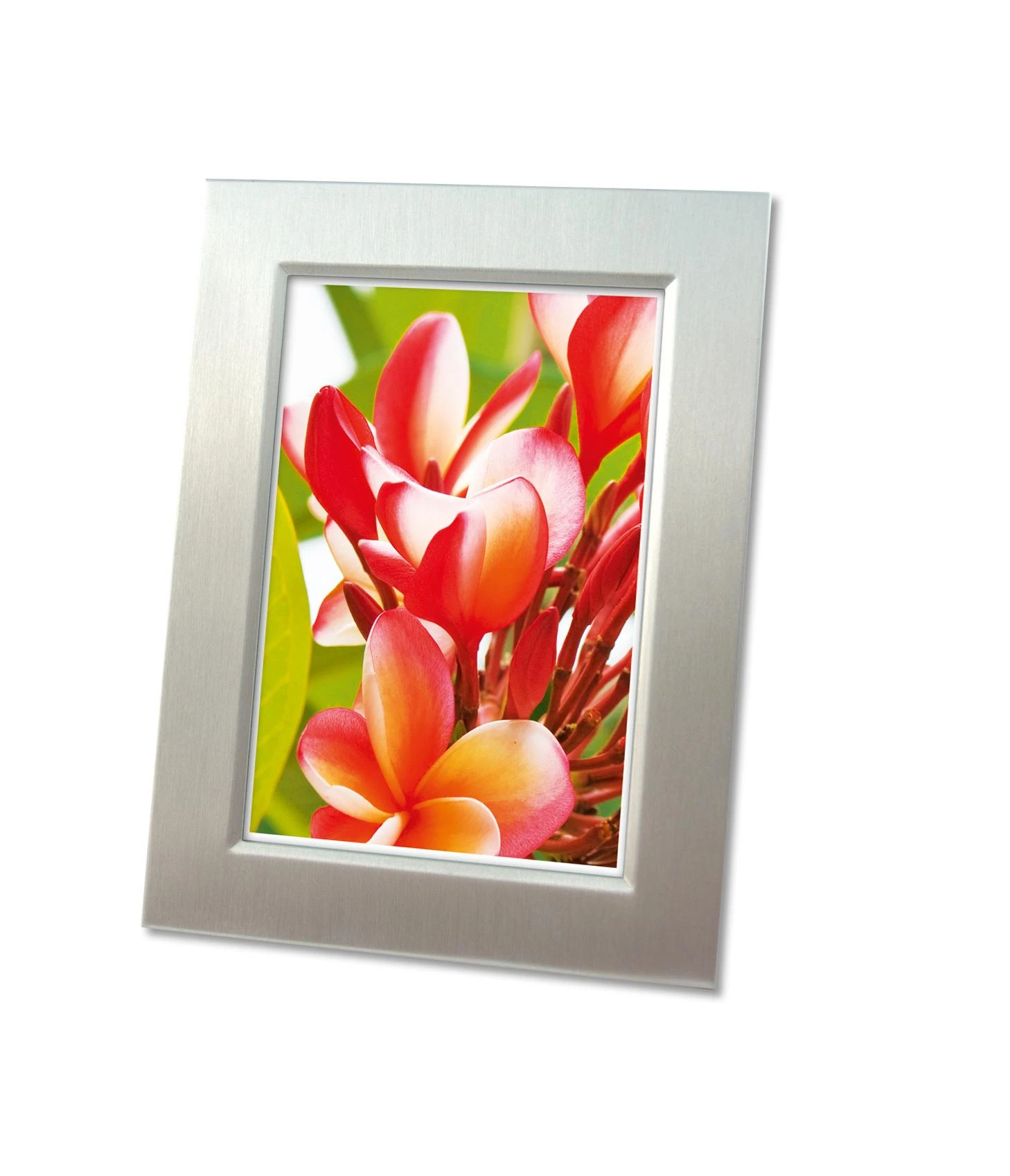 Avery Zwckform Premium High Gloss fotopopierius 250g A4
