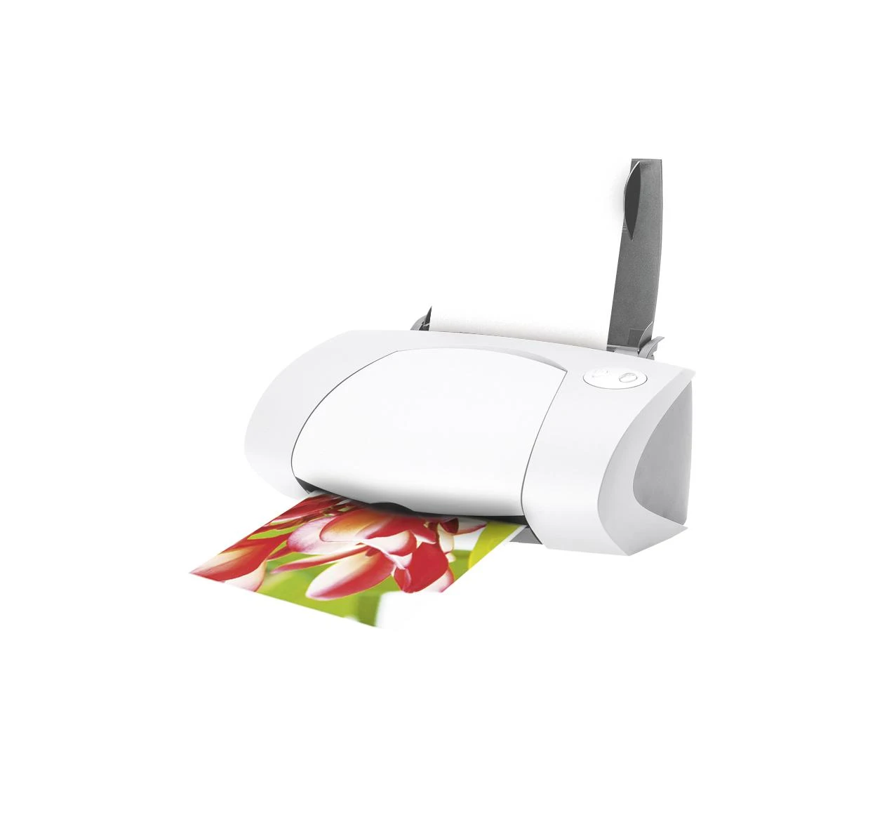 Avery Zwckform Premium High Gloss fotopopierius 250g A4