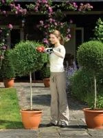 Black & Decker Akumuliatorinės gyvatvorių žirklės GSL300