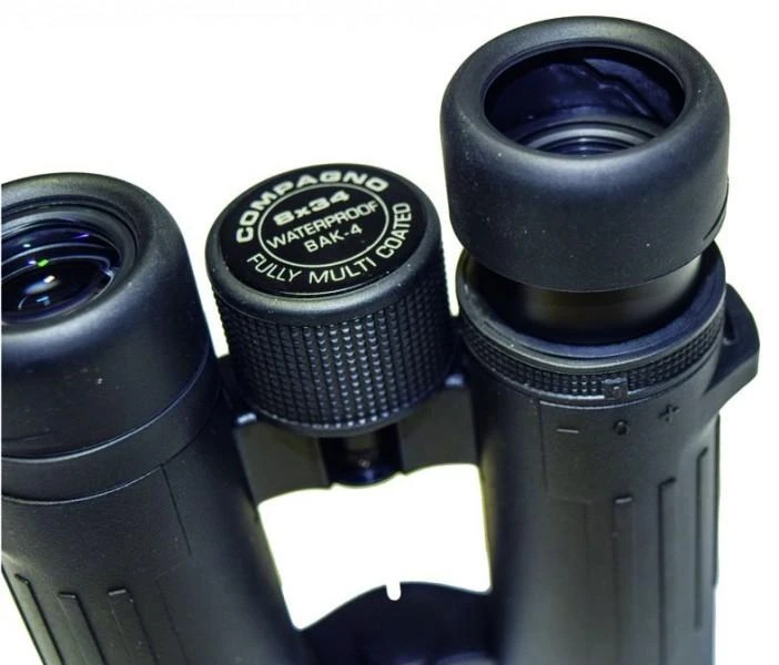 Žiūronai Lornetka Braun Phototechnik Braun Compagno 10x34 WP