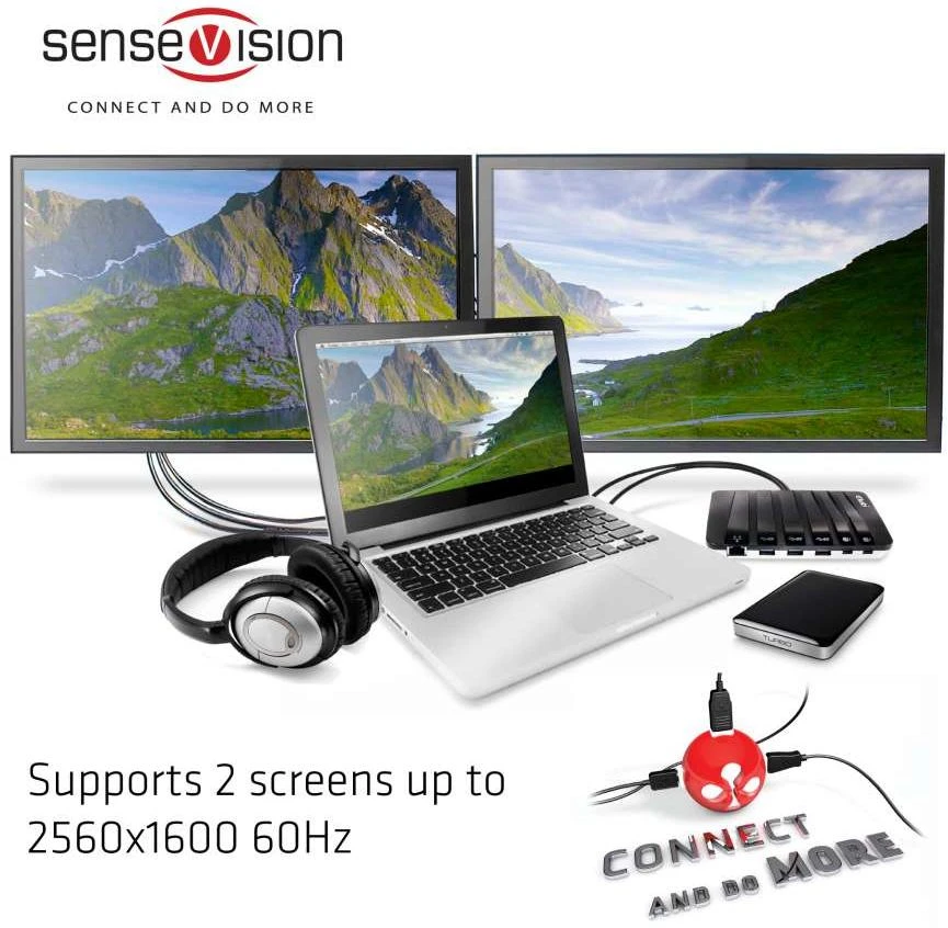 SenseVision prijungimo stotis su dviem monitoriais