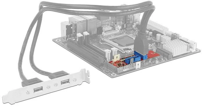 Kontroler Delock (62843)