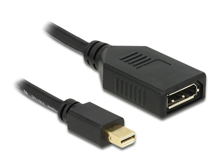Mini DP į DP adapteris su trumpu laidu