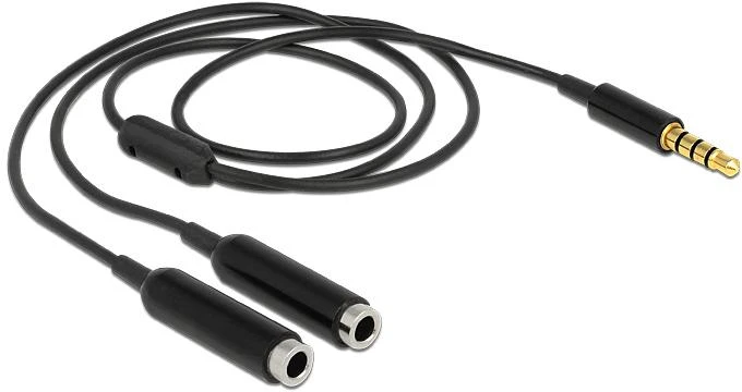 Delock skirstytuvo lizdo kištukas 3,5 mm 4 kontaktai> 2 x lizdas 3,5 mm 4 kontaktai 25 cm