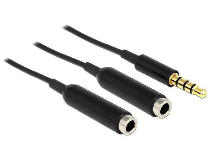 Delock 3,5 mm audio skirstytuvas su 2 lizdais