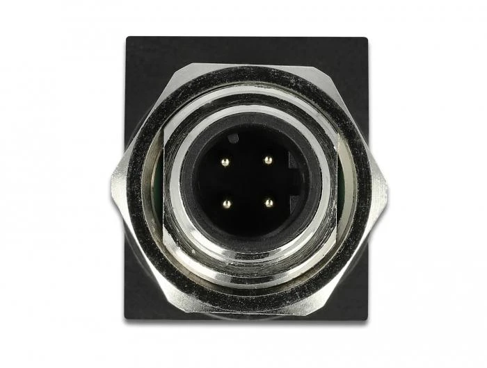 Delock Netzwerkadapter M12 4 Pin D-kodiert Stecker zu RJ45 Buchse